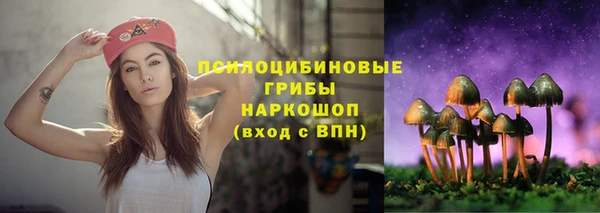 jwh Аркадак