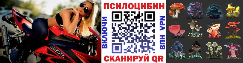 Галлюциногенные грибы Magic Shrooms Льгов