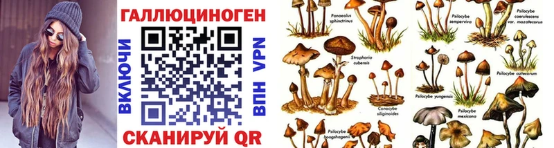 Псилоцибиновые грибы прущие грибы Льгов